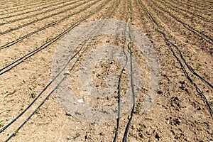 Irrigation system