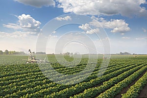 Irrigation system on agricultural soybean field