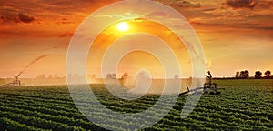 Irrigation system on agricultural soybean field at sunset