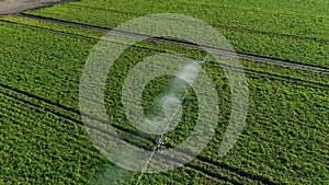 Irrigation system on an agriculture field. 4k aerial drone view.