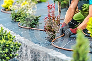 Irrigation System Building