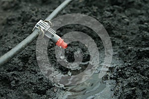 Irrigation system close up