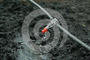 Irrigation system close up