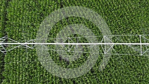 Irrigation system in a corn field