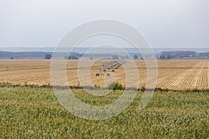 Irrigation system in a grain field