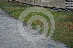 Irrigation system in hot climates. Pefki, Rhodes Island, Greece