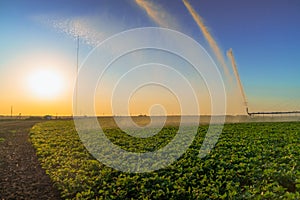 Irrigation system rain guns sprinkler on agricultural field.