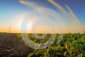 Irrigation system rain guns sprinkler on agricultural field.