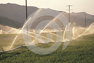 Irrigation system in the San Joaquin Valley, CA photo