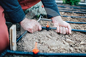 Irrigation system on the site. Hands attach a hose to a tap