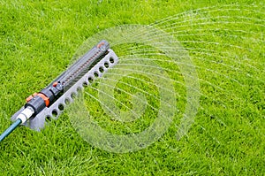 Irrigation system, sprinkler spaying water over green grass lawn