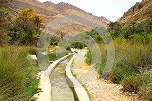 Irrigation system in Wadi bani khalid, Oman photo