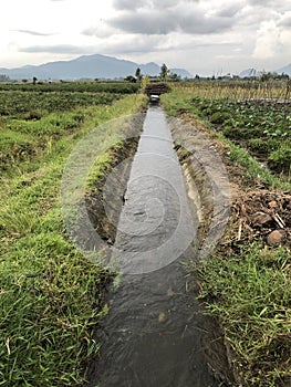 The Irrigation System, Water Delivery Canal.