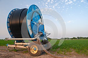 Irrigation system watering agricultural field of carrots and parsley