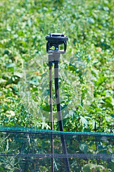 Irrigation system for watering agricultural plants on a Snail Farm.