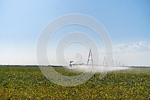 Irrigation System Watering Crops on Farm Field