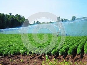 Irrigation system watering crops farmland farm field industrial photo