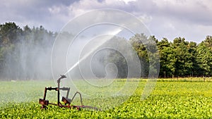 Irrigation system watering farm crops