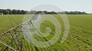 Irrigation System Watering Field of Crops