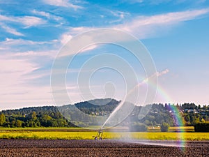 Irrigation system watering freshly seeded field