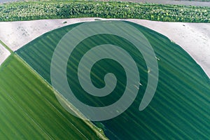 Irrigation system in wheat field