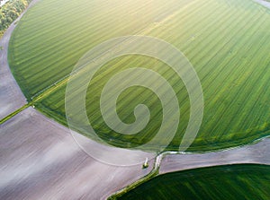 Irrigation system in wheat field