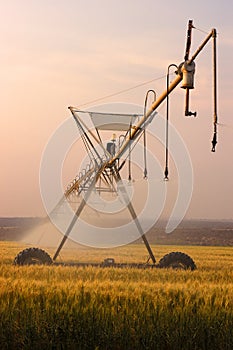 An irrigation system on a wheat field