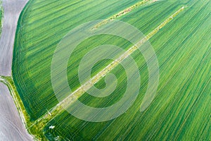 Irrigation system in wheat field