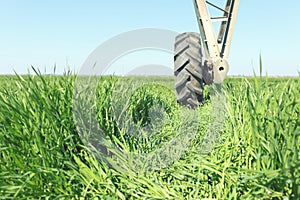 Irrigation system on wheels. Young Wheat Growing.