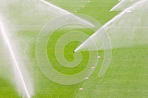 Irrigation turf in a stadium