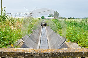 Irrigation water channel.