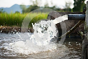 Irrigation water and farm concept photo