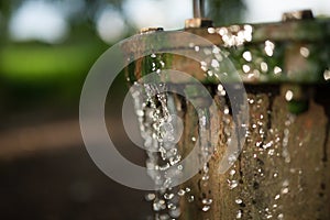 Irrigation water and water conservation