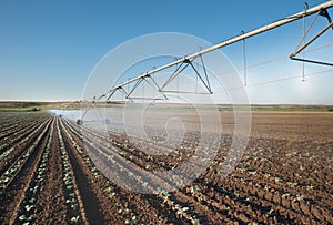 Irrigation Wheel Line