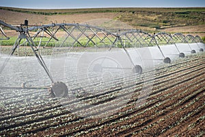 Irrigation Wheel Line