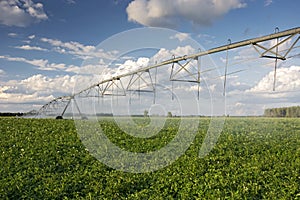 Irrigator over a potato field, Midwest, USA photo