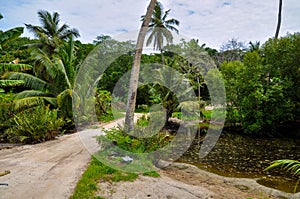 Irt road to the farm on the island of La Digue Seychelles