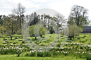 Irwin Park in New Canaan, Connecticut