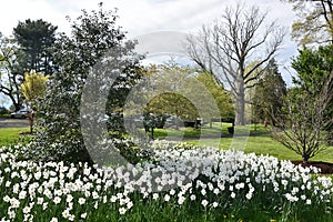 Irwin Park in New Canaan, Connecticut