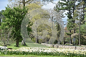 Irwin Park in New Canaan, Connecticut