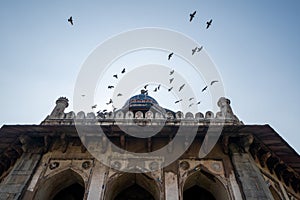 Isa Khans Garden Tomb, part of Humayan`s Tomb, as a large flock of birds flies