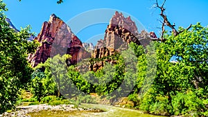 Isaac Peak and Jacob Peak in Zion National Park in Utah, United Sates