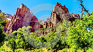 Isaac Peak and Jacob Peak in Zion National Park in Utah, United Sates