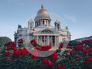 Isaac`s Cathedral with red roses, St. Petersburg city views, Travel, Atmospheric daily photos