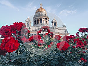 Isaac`s Cathedral with red roses, St. Petersburg city views, Travel, Atmospheric daily photos