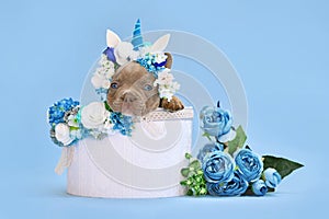 Isabelle French Bulldog dog puppy with unicorn headband with horn peeking out of box with flowers