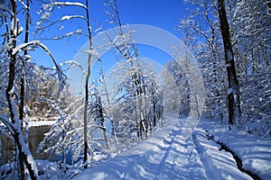 Isar river munich germany snow cold ice winter season wild forest with beautiful nature landscape blue sky