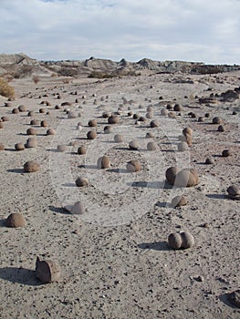 Ischigualasto