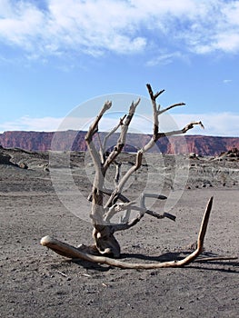 Ischigualasto Park Argentina