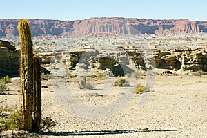 Ischigualasto Provincial Park - Argentina